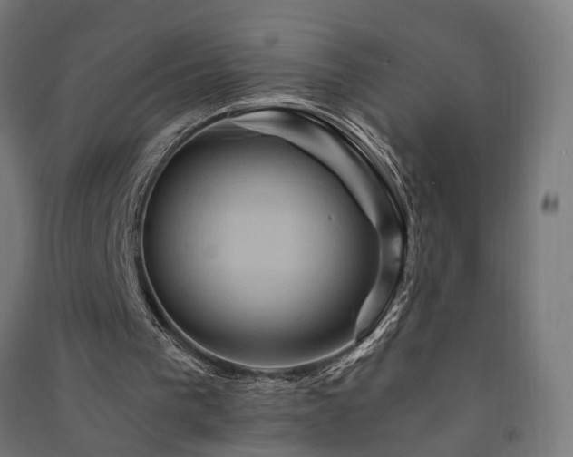 X0000091590193200708201237
