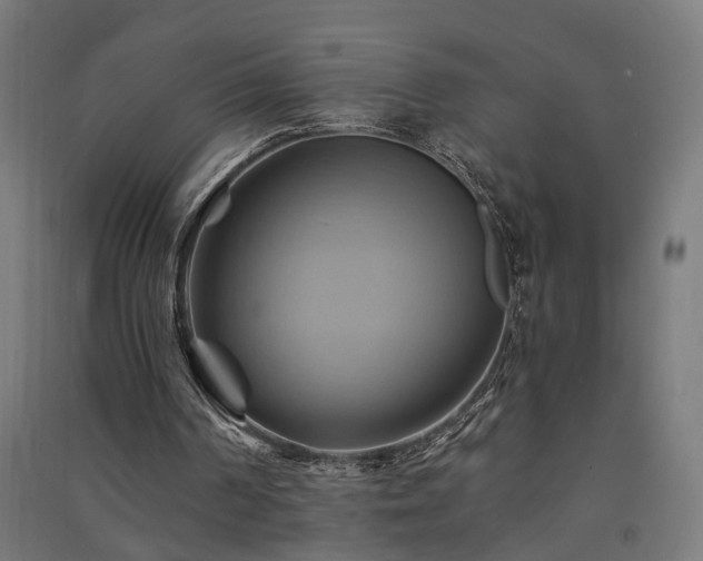 X0000091590194200708201237