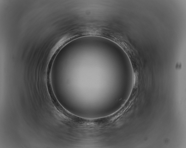 X0000091590195200708201237
