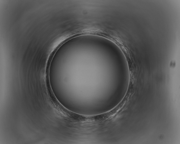 X0000091590196200708201237