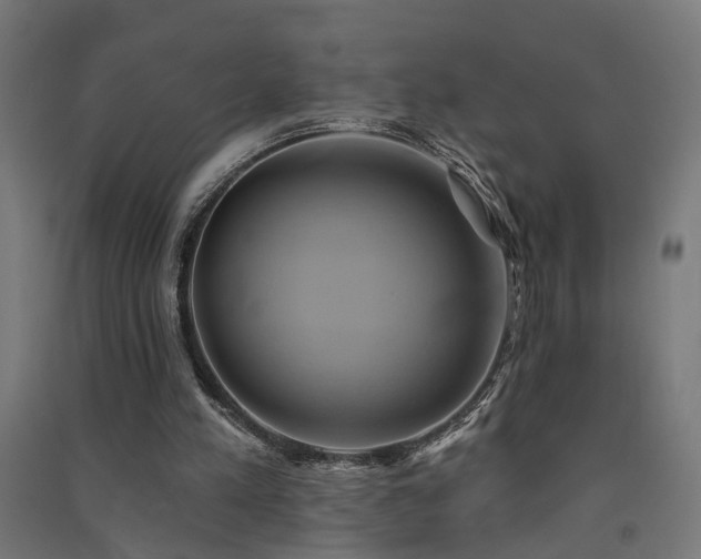 X0000091590197200708201237