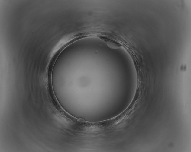 X0000091590198200708201237
