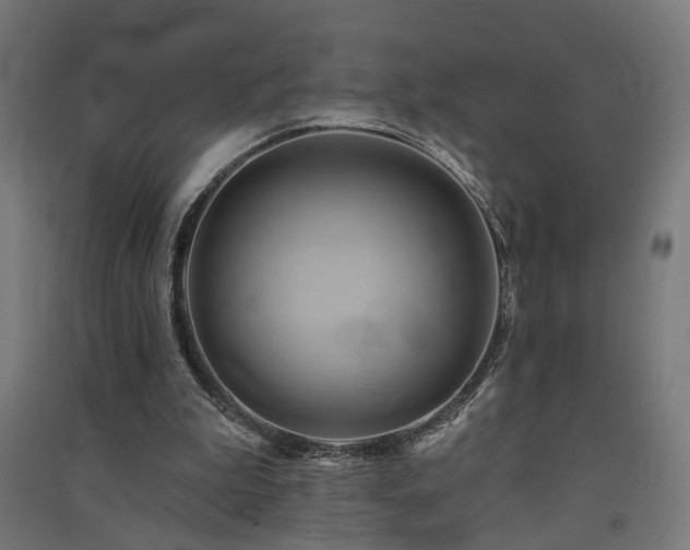 X0000091590199200708201237