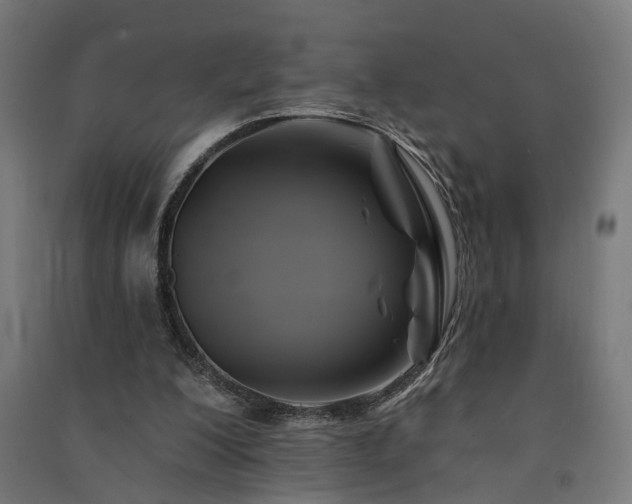 X0000091590200200708201237