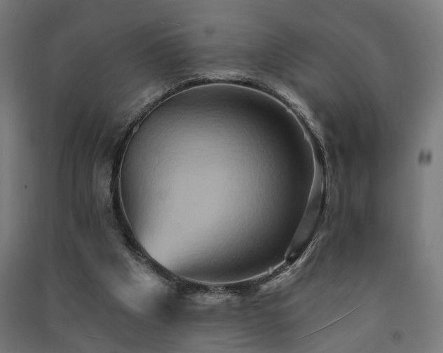 X0000091590201200708201237