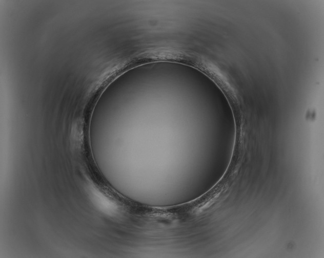 X0000091590202200708201237
