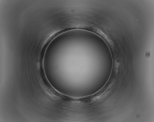 X0000091590203200708201237