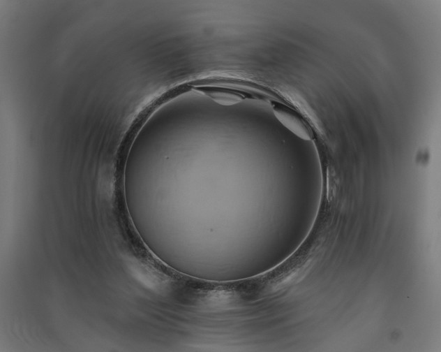 X0000091590204200708201237