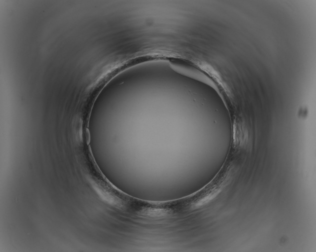 X0000091590205200708201237