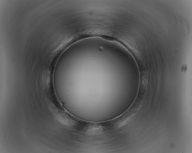 X0000091590206200708201237
