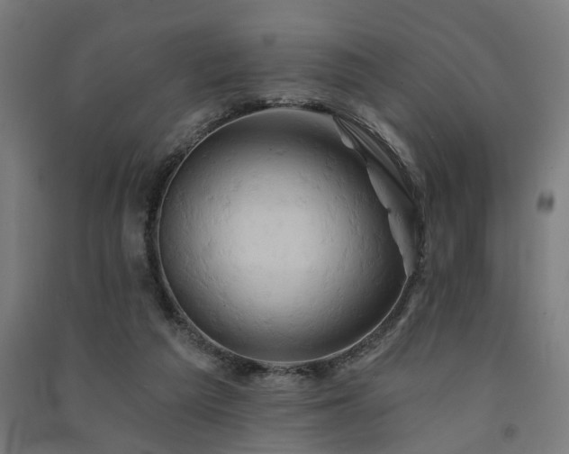 X0000091590209200708201237