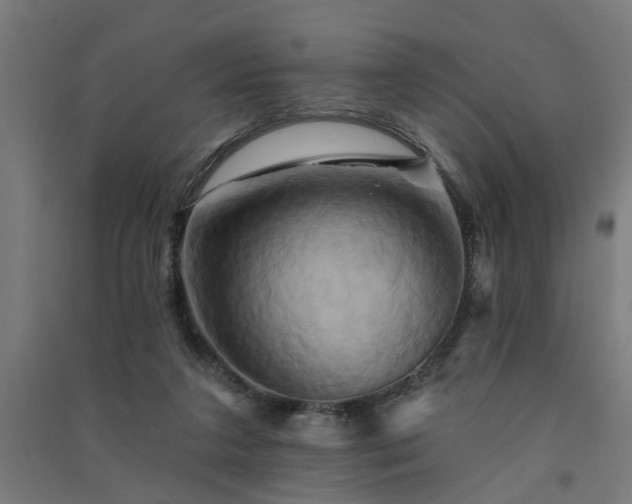 X0000091590211200708201237