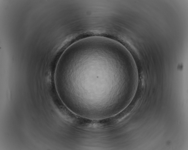 X0000091590212200708201237