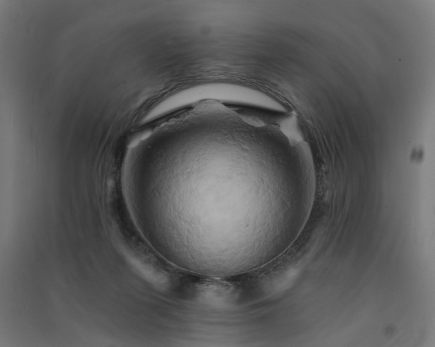 X0000091590215200708201237