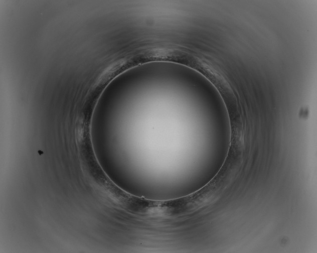 X0000091590216200708201237