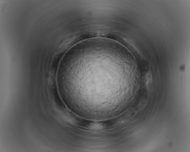 X0000091590218200708201237