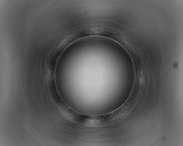 X0000091590220200708201237