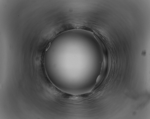 X0000091590221200708201237