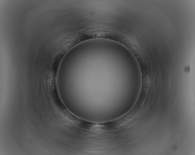 X0000091590222200708201237