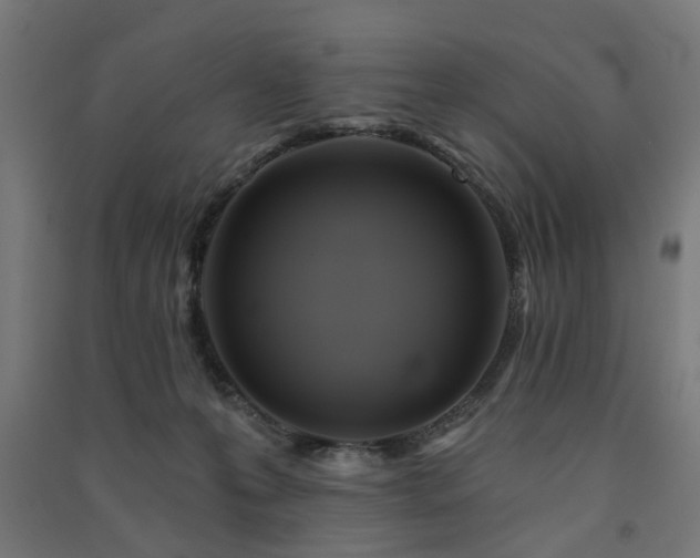 X0000091590223200708201237