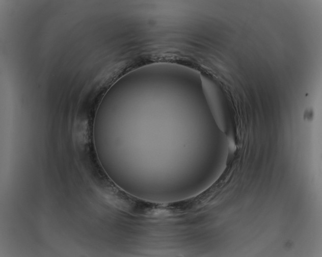 X0000091590224200708201237