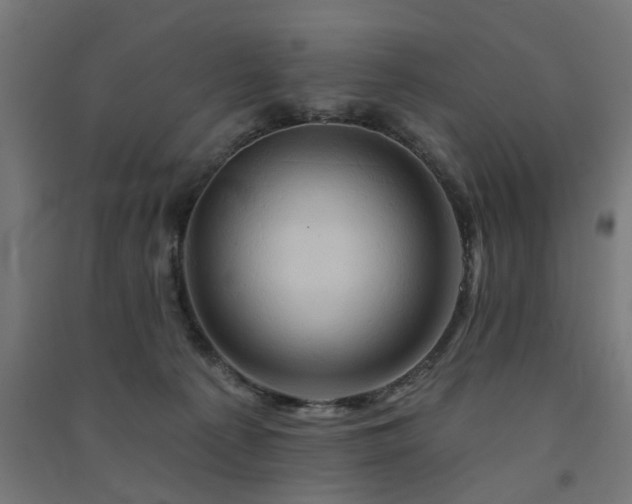 X0000091590225200708201237
