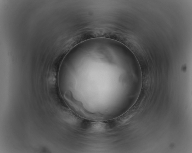 X0000091590226200708201237