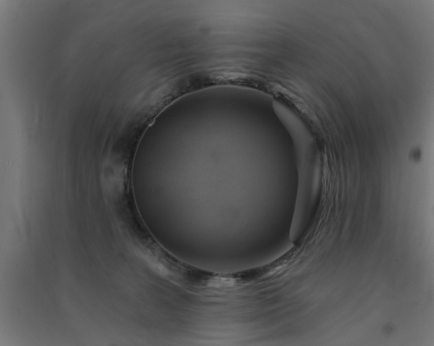 X0000091590227200708201237