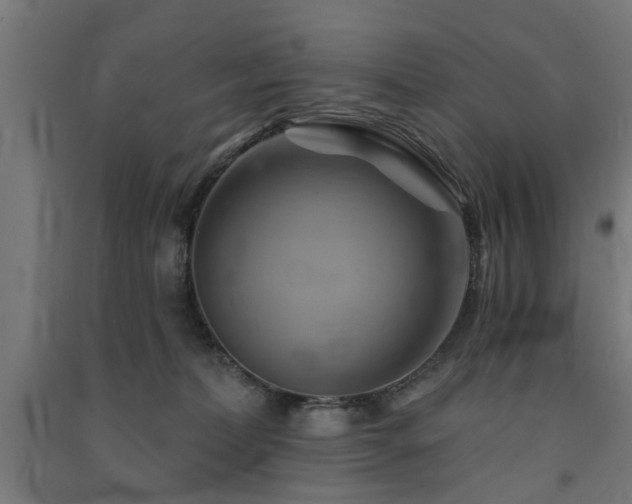 X0000091590228200708201237
