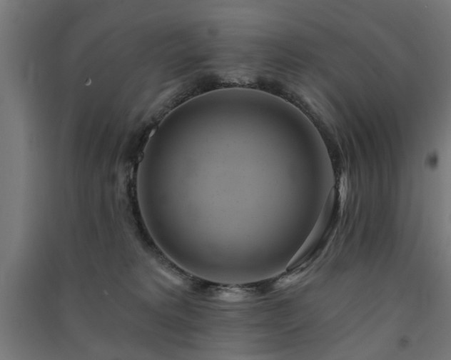X0000091590229200708201237