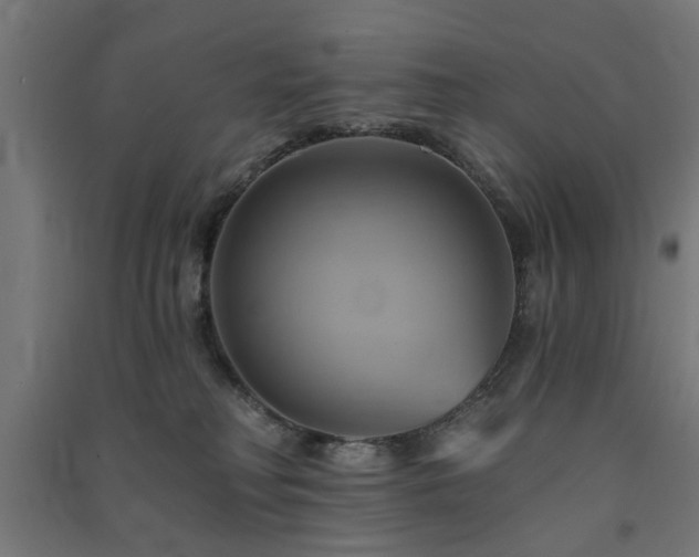 X0000091590230200708201237
