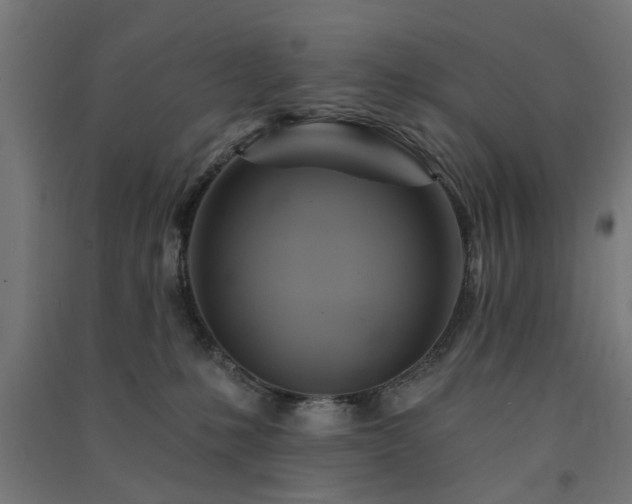 X0000091590231200708201237