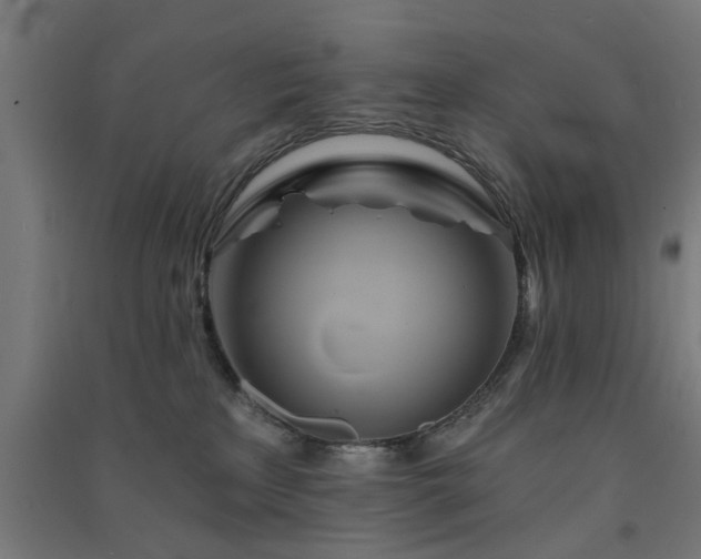 X0000091590233200708201237
