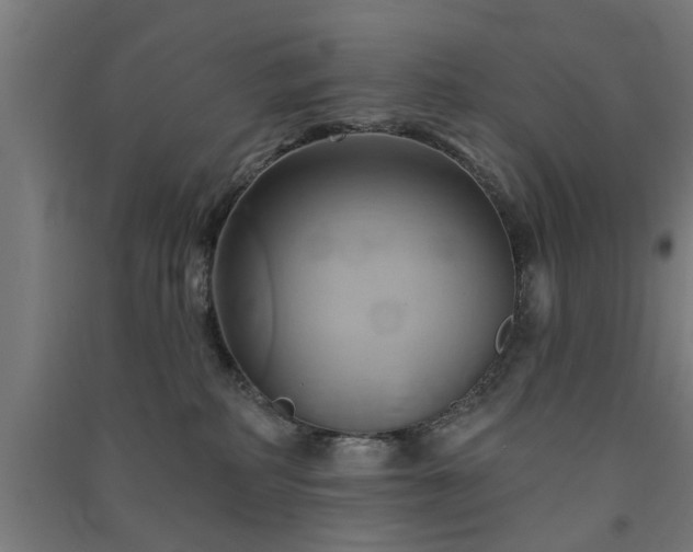 X0000091590234200708201237