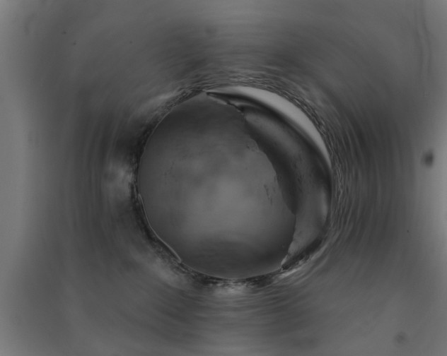 X0000091590235200708201237