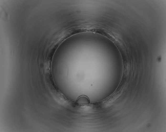 X0000091590236200708201237