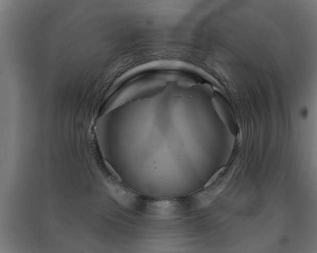 X0000091590237200708201237