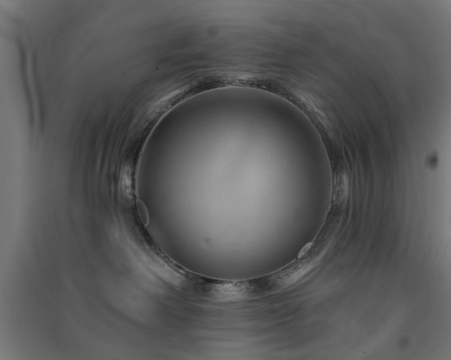 X0000091590238200708201237