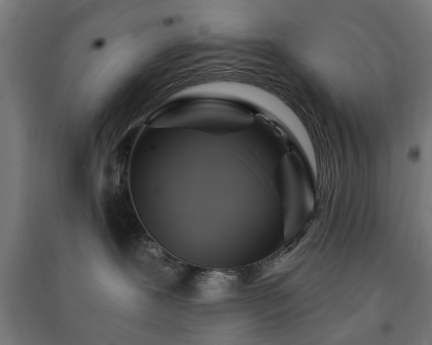 X0000091590239200708201237