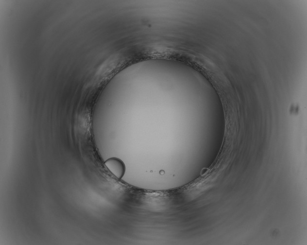 X0000091590240200708201236