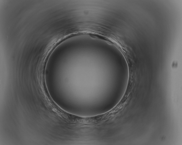 X0000091590241200708201236