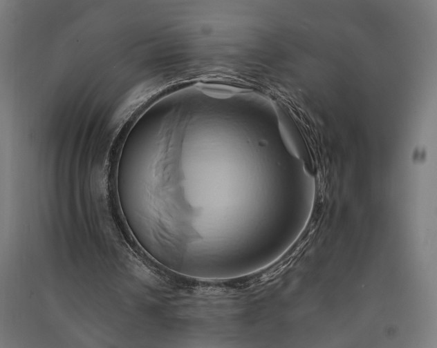 X0000091590242200708201236