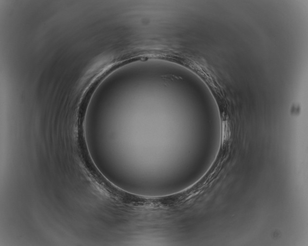 X0000091590243200708201236