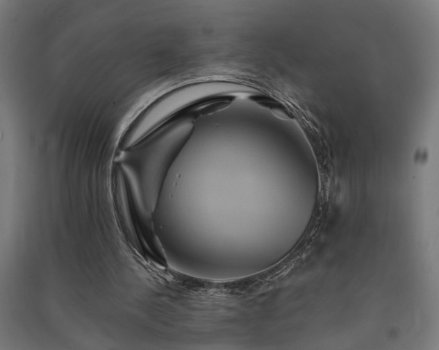 X0000091590244200708201236