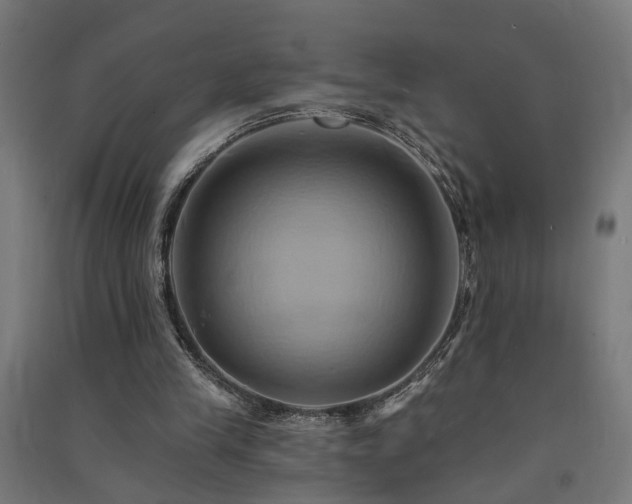 X0000091590245200708201236
