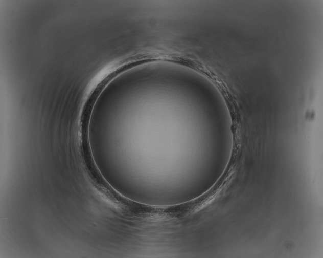 X0000091590246200708201236