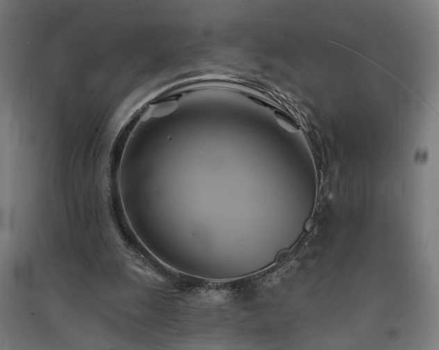X0000091590247200708201236