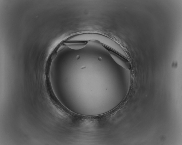 X0000091590248200708201236
