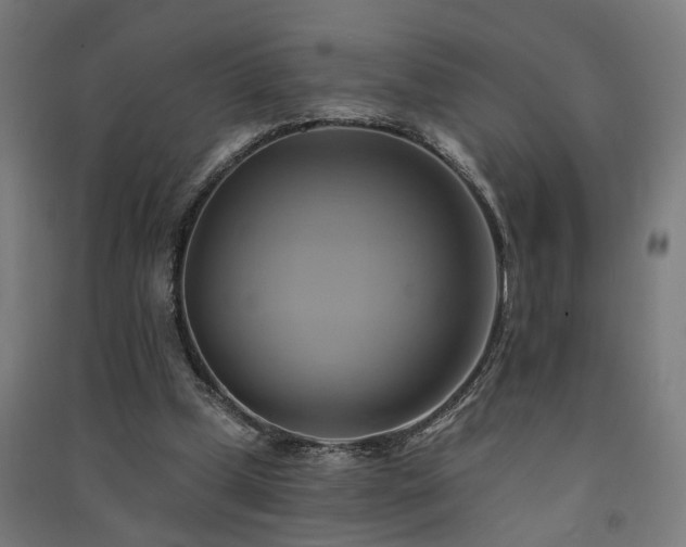 X0000091590249200708201236