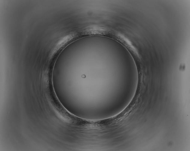 X0000091590250200708201236
